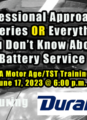 A Professional Approach To Batteries OR Everything You Don’t Know About Battery Service And Testing